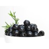 ACEITUNAS NEGRAS