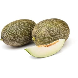 Melon