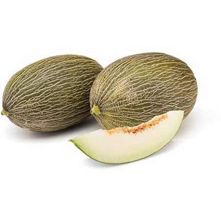 Melon