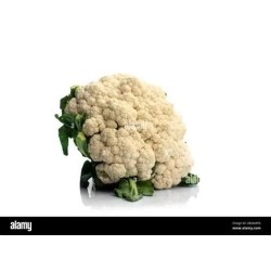 COLIFLOR