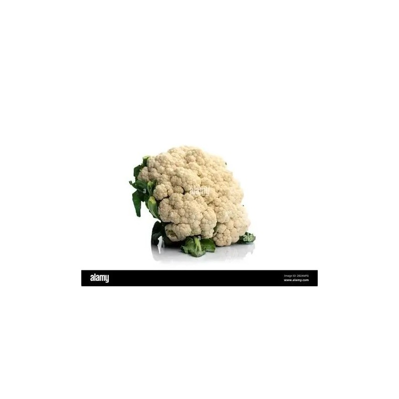 COLIFLOR