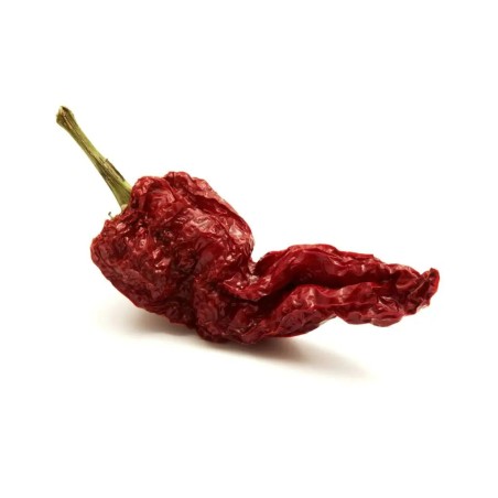 PIMIENTO CHORICERO